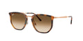 4451 | 680451 | NON POLARIZED