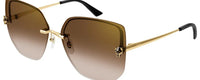 GOLD | BROWN | NON POLARIZED