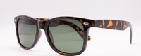 TORTOISE | GREEN - POLARIZED