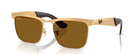 WAYFARER DELUXE | 927631 | NON POLARIZED