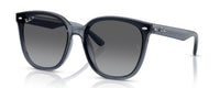 4423D | 6592T3 | POLARIZED