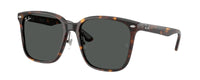 2206D | 710/87 | NON POLARIZED