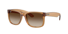 JUSTIN | 681413 | NON POLARIZED