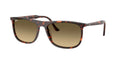 2216 | 14290A | NON POLARIZED