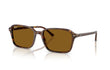RAIMOND - RAIMOND | 141833 | NON POLARIZED