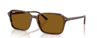RAIMOND | 141833 | NON POLARIZED