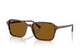 RAIMOND | 141833 | NON POLARIZED