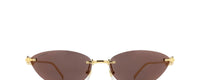 GOLD |  | NON POLARIZED