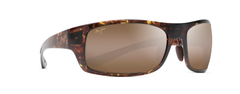 OLIVE TORTOISE | HCL BRONZE - POLARIZED
