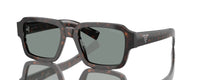 ROOT TORTOISE | BLUE | NON POLARIZED