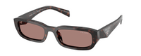 ROOT TORTOISE | LIGHT BROWN | NON POLARIZED