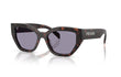 17N03N - ROOT TORTOISE | GREY | NON POLARIZED