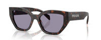 ROOT TORTOISE | GREY | NON POLARIZED