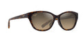 BROWN | BRONZE | POLARIZED