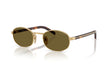 5AK09Z - GOLD | DARK BROWN | NON POLARIZED