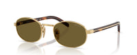 GOLD | DARK BROWN | NON POLARIZED