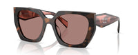 MAUVE TORTOISE | LIGHT BROWN | NON POLARIZED