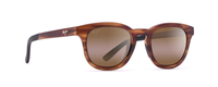 MATTE TORTOISE | HCL BRONZE - POLARIZED