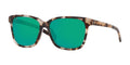 SHINY TIGER COWRIE | GREEN MIRROR | POLARIZED