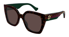 HAVANA - GREEN - RED | BROWN | NON-POLARIZED