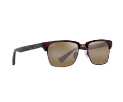 BROWN | BRONZE | POLARIZED