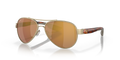 BRUSHED GOLD | GOLD MIRROR | POLARIZED
