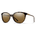 TORTOISE | BROWN | NON-POLARIZED