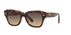 HAVANA | PINK CRYSTAL | GRADIENT BROWN | NON-POLARIZED