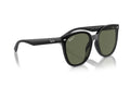 BLACK | DARK GREEN | POLARIZED
