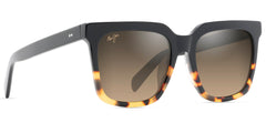 BLACK | TORTOISE | HCL BRONZE | POLARIZED