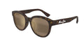 BROWN | BROWN | POLARIZED