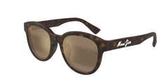 BROWN | BROWN | POLARIZED