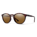 MATTE TORTOISE | BROWN | POLARIZED